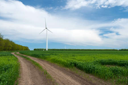 Green field of wheat and wind turbines generating electricityの写真素材