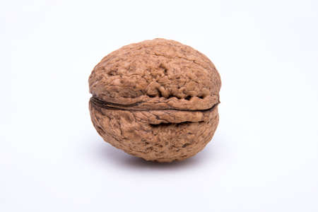 walnut on a white background - macro, copy space
