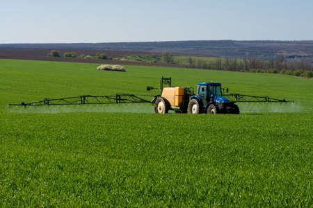 Tractor spraying pesticide in a field of wheat - copy spaceの写真素材