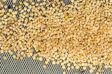 Bee pollen in the beehive - selective focus, copy spaceの写真素材