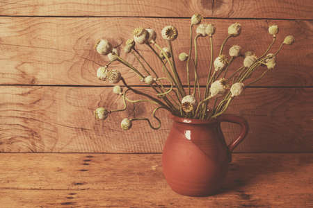 Vintage still Life with dry poppy pods - copy spaceの写真素材
