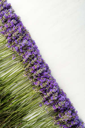 frame of lavender on a white wooden background - selective focus, copy space