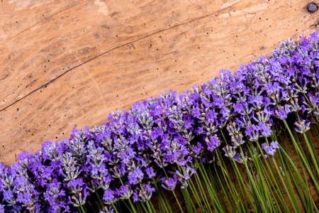 frame of lavender on a rustic wooden background - selective focus, copy spaceの写真素材