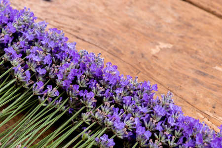 frame of lavender on a rustic wooden background - selective focus, copy spaceの写真素材