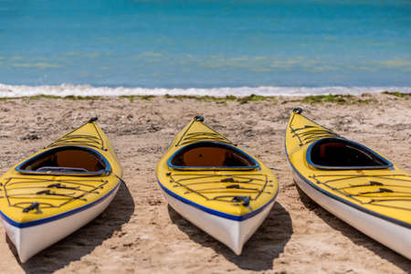 Colorful kayaks align the water - selective focus, copy spaceの写真素材