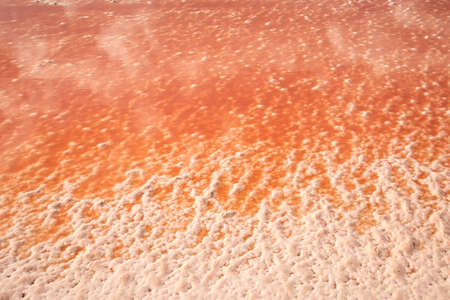 Salt formations in a dried lake of the saltworks near Burgas, Bulgaria, Eastern Europe - selective focus, copy spaceの写真素材