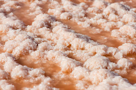 Salt formations in a dried lake of the saltworks near Burgas, Bulgaria, Eastern Europe - selective focus, copy spaceの写真素材