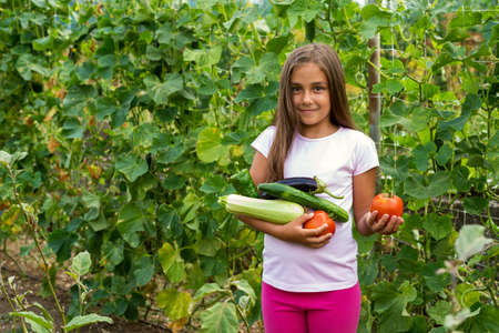 Little girl in vegetable garden - selective focus, copy spaceの写真素材