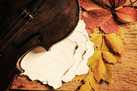 Old violin and autumn leaves over an old rustic wooden table - top view, copy spaceの写真素材