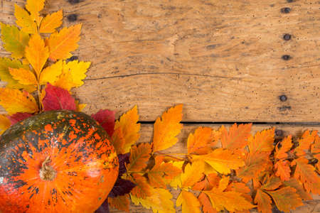 Helloween pumpkins over an old rustic vintage table - top view, copy spaceの写真素材