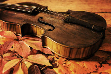 Old violin and autumn leaves over an old rustic wooden table - top view, copy spaceの写真素材