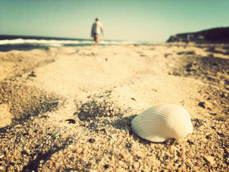 Close up of a shell on the beach with walking man backgrownd - selective focus, copy space
