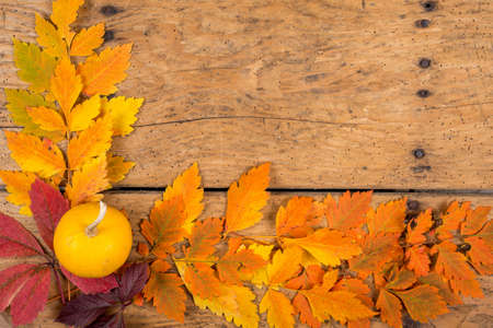 Helloween pumpkins over an old rustic vintage table - top view, copy spaceの写真素材