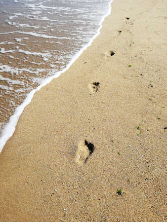 Staps on the wet sand - copy spaceの写真素材