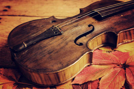 Old violin and autumn leaves over an old rustic wooden table - top view, copy spaceの写真素材