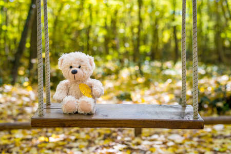 teddy bear swinging in the autumn park - selective focus, copy spaceの写真素材