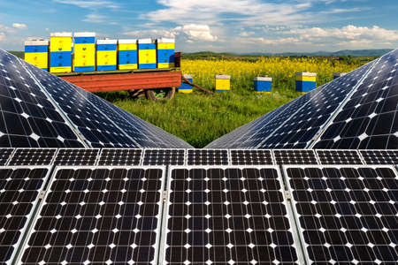 Photo collage of solar panels against the crops background - concept of sustainable resourcesの写真素材