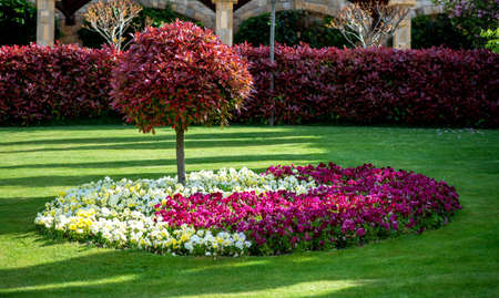 Spring garden on a sunny day - selective focus, copy spaceの写真素材
