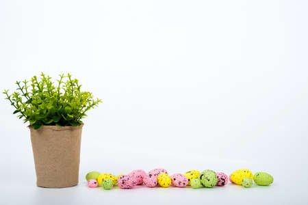 Pot with flower and colorful easter eggs over white background - copy spaceの写真素材