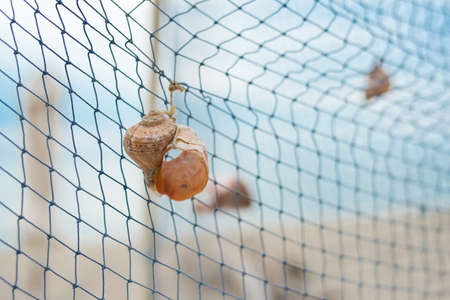 rapana shell hung on a fishing net - concept for vacation and travel - selective focus, space for...
