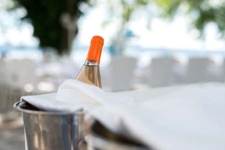 Bottle of Champagne in cooler - party decor, copy space