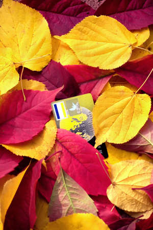 Autumn credit cardの写真素材