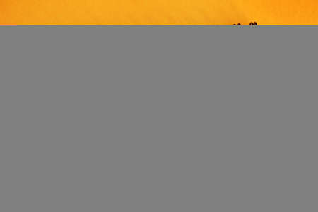 Special Price text on notepad, business concept backgroundの写真素材