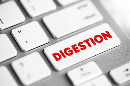 Digestion is the complex process of turning the food you eat into nutrients, text concept button on keyboardの写真素材