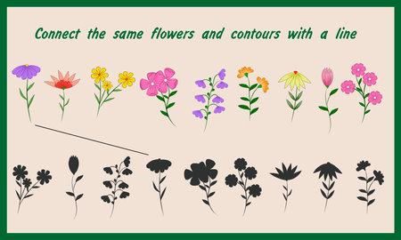 additional education. Vector.Developer for preschoolers. Task for the development of visual development. Connect the same flowers and contours with a lineのイラスト素材