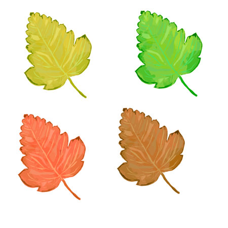 Set of tree leaves isolated on white background. Tree leaves in seasonal palette color for greeting cards, holiday banners and posters.のイラスト素材