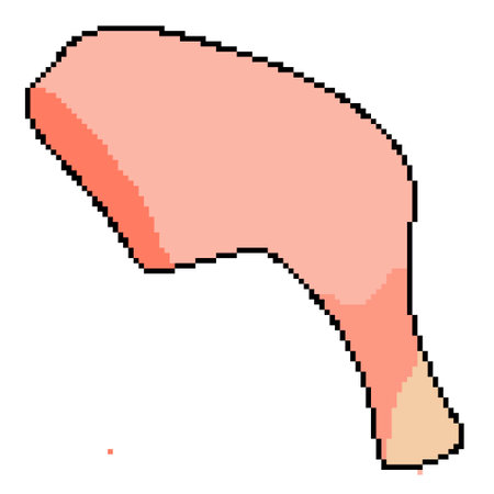 Pixel icon for proper and dietary nutrition of legs, chicken, chicken legs. Also available for embroidery. vector illustrationのイラスト素材