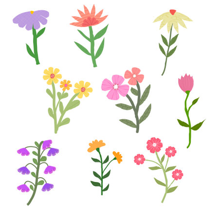A set of vector hand-drawn wildflowers with a delicate color palette and texture. Vector.のイラスト素材