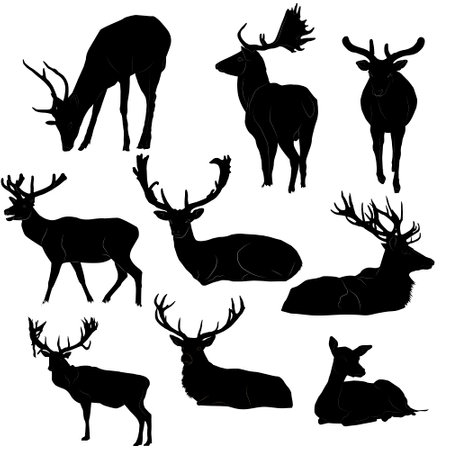 Collection of black silhouettes of children of different ages and in different poses of males and females on a white background.のイラスト素材