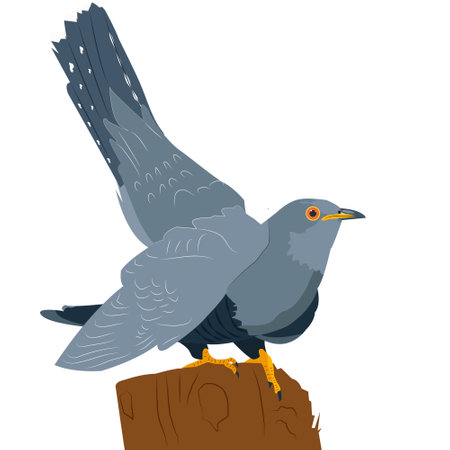 A cuckoo sits on a large stump on a white background. The bird looks to the right. Vector, flat. Image of a bird ready to fly.のイラスト素材
