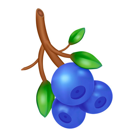 vector, mesh, blueberry, berries, branch, leaves, food, fruit, healthy, natural, organic, juicy, fresh, summer, wild berry, vegan, vegetarian, dessert, superfood, illustration, design, isolated, clipart, white background, realistic, green leaves, ripe fruitのイラスト素材