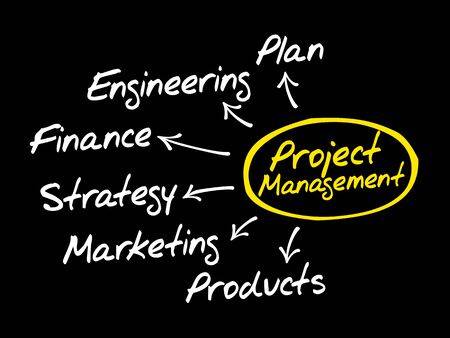 Project Management flow chart mind map, business conceptのイラスト素材