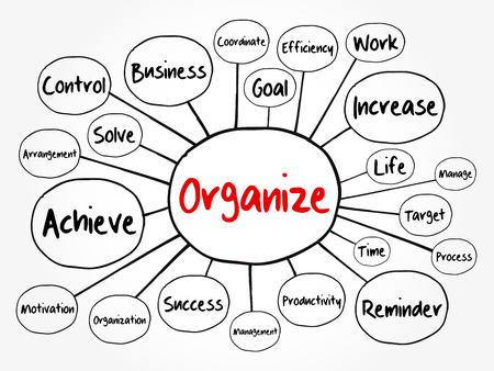 ORGANIZE mind map flowchart, business concept for presentations and reportsのイラスト素材