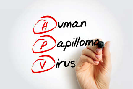 HPV - Human Papilloma Virus acronym with marker, medical concept backgroundの写真素材