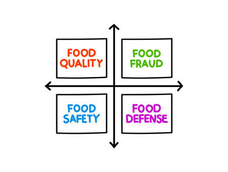 FOOD SAFETY mind map diagram, health concept for presentations and reportsのイラスト素材