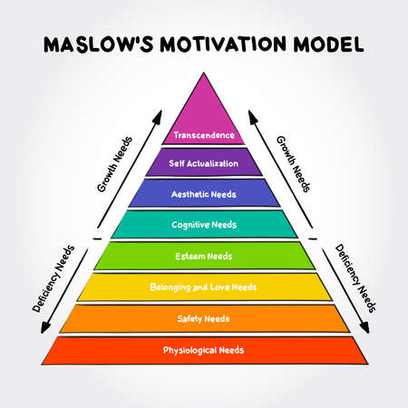 Maslow's hierarchy of needs, A Theory of Human Motivation, study how humans intrinsically partake in...