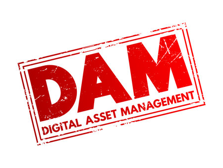 DAM Digital Asset Management - business process and an information management technology, acronym text concept stampのイラスト素材