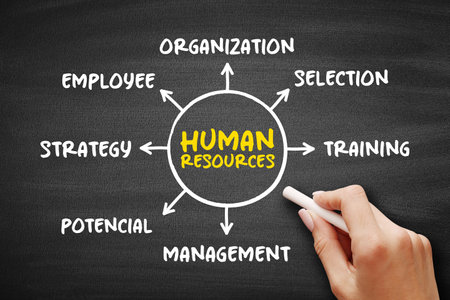 Human resources - people who make up the workforce of an organization, mind map concept for presentations and reportsの写真素材