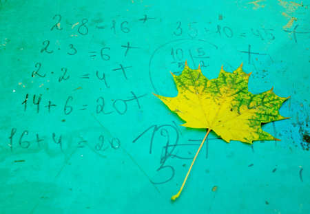 Falling autumn maple leaves natural background colorful foliageの写真素材