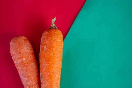 two fresh organic carrot. natural garden vegetable for vegetarian healthy kitchen