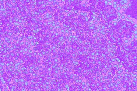 Multicolored abstract wallpaper design