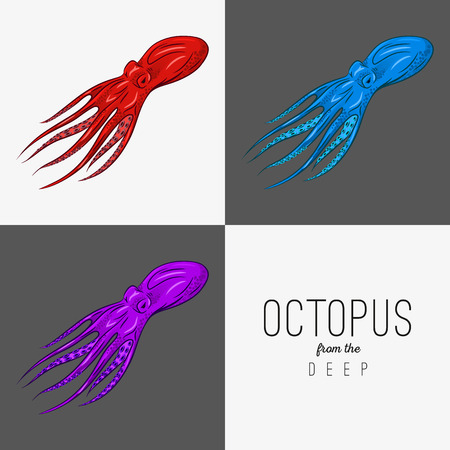 Vector drawing illustration of octopus with curling tentacles.のイラスト素材