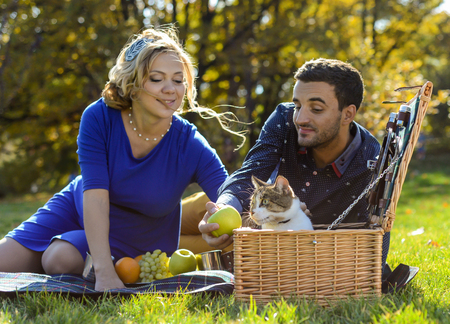 Pregnant happy and smiling couple on picnic with cat on sunny dayの写真素材
