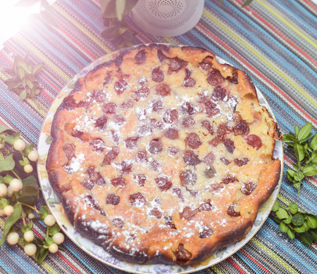 cherry pie on the colorful tablecloth with green twig. Sunlightの写真素材