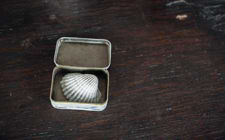 small conch in the small box on the old brown wooden tableの写真素材