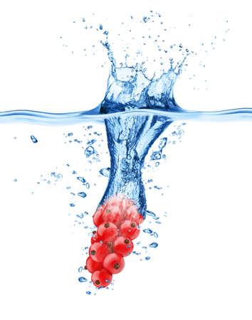 Closeup of red currant in ice cubeの写真素材